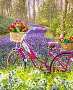Bicycle in Flowers