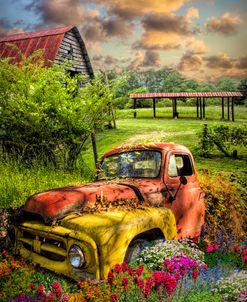 Rusty Truck in the Garden