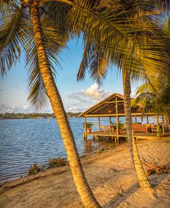 Island Dock