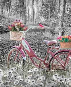 Pink Bicycle in Flowers Black and White