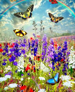 Butterflies Under a Spring Rainbow