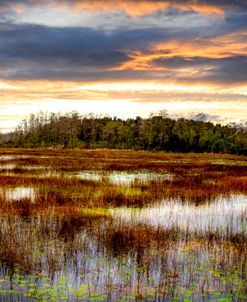 Panorama Overlooking the Marsh