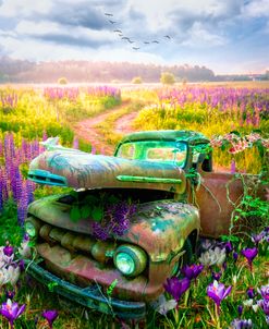 Rusty Truck in Spring Flowers