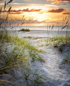 Peaceful Beach Dunes II