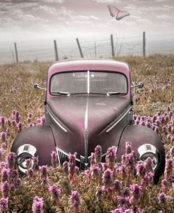 Vintage Ford in Pinks