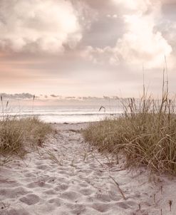 White Sands at Dawn Beachhouse Hues