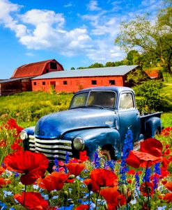 Resting in Poppies II