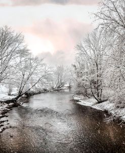 Snowy Trees along the River
