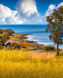 Little Barn on the Autumn Coast