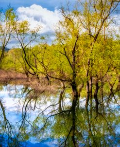 The Beauty of the Hiwassee River