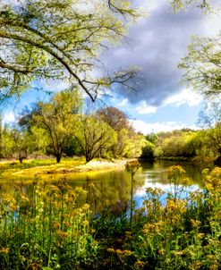 The Beauty of the Valley River