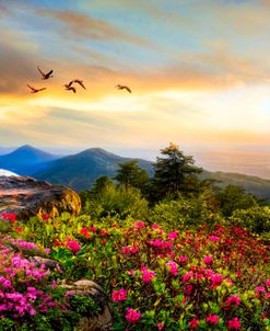 Blue Ridge Smoky Mountains Overlook Sunset