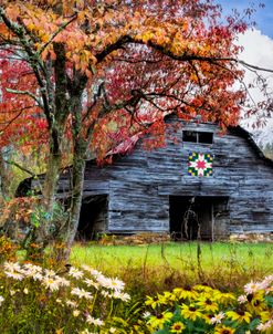 Old Smoky Mountain Barn