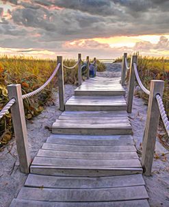 Path Through the Dunes Painting