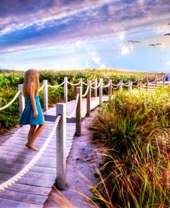 Wooden Walkway through the Dunes