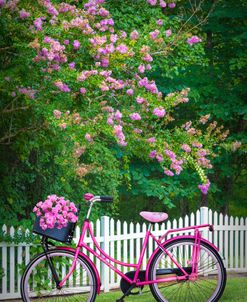 Bicycle by the Garden Fence