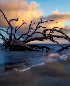 Drifting Tides on Jekyll Island