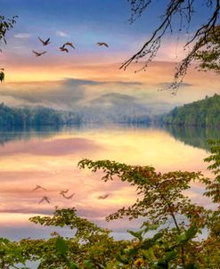 Lake Through the Trees Ocoee Parksville