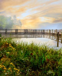 Dock into the Mist