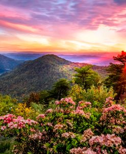 Blue Ridge Overlook Great Smoky Mountains