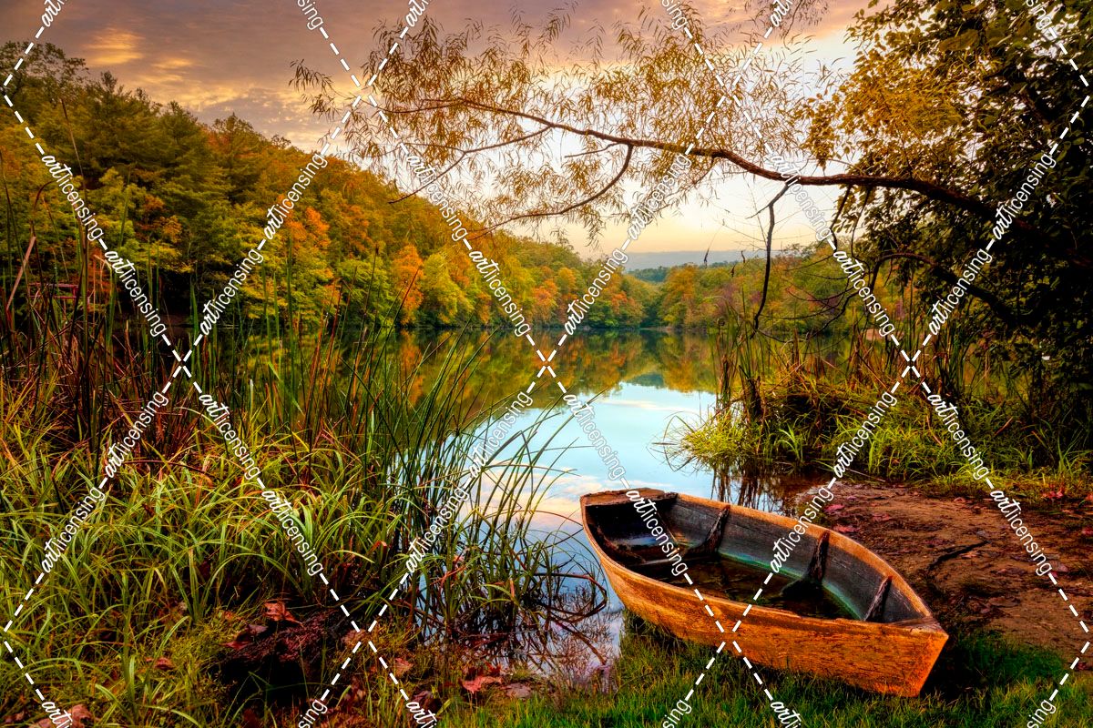 Autumn Rowboat