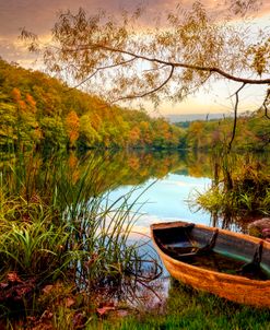 Autumn Rowboat