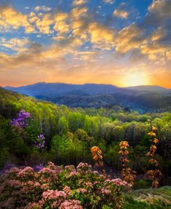 Smoky Mountains Blue Ridge Overlook at Sunset