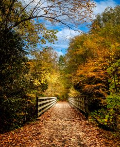 Creeper Trail Wooden Bridge Damascus Virginia