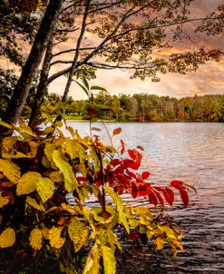 Beautiful Autumn Leaves at Indian Boundary