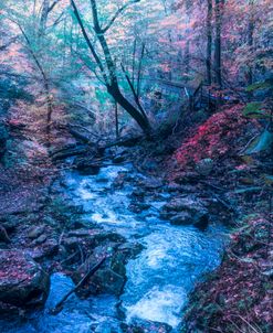 Golden Fall Cascades at Cloudland Canyon Misty Evening