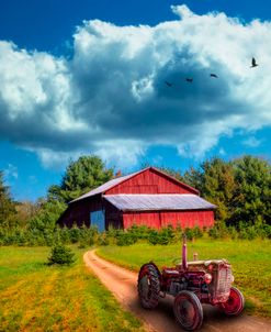 Red Tractor on the Farm Trail