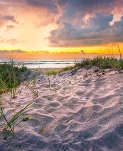 Glowing Gold on the Dunes