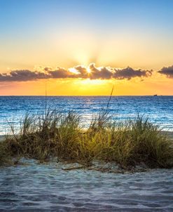 Sunrays on the Dunes