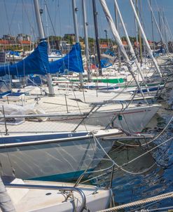 White Sailboats in the Harbor