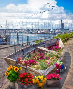 Flowers in a Rowboat