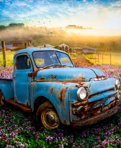 Old Blue Dodge at the Farm