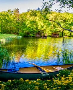 Canoe in Wildflowers at the Lake
