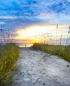 Early Morning Beach Walk