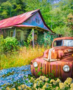 Rusty Truck in the Wildflower Meadow