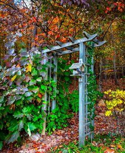 Arbor in the Garden