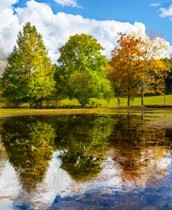 Autumn Reflections at the Lake