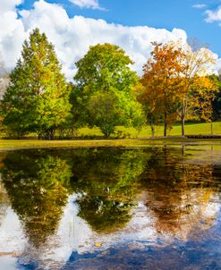 Autumn Reflections at the Lake