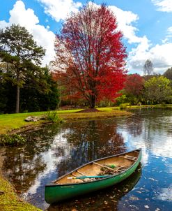 Canoe at the Red Maple Tree