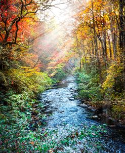 Autumn Light over the River