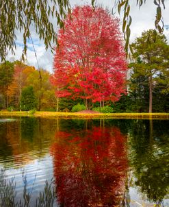 Autumn Red Maple Reflections at the Lake