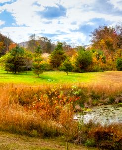 Red Barn at the Pond