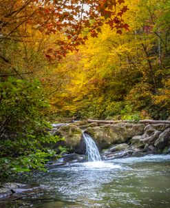 Red Maples over the Waterfall