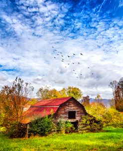 Country Barn with the Red Roof