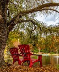 Sitting on the Edge of the Pond