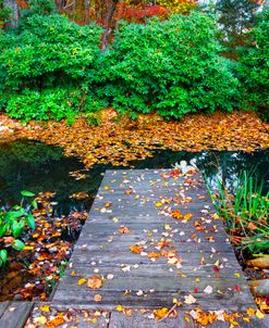 The Dock at the Koi Pond